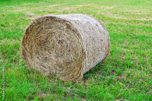 Big straw roll on green field grass background with copy space for text.