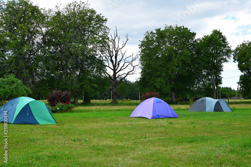 Camping tents on meadow with green trees and sky on background in sunny summer day with copy space for text on grass. Traveling, camping and hiking concept.