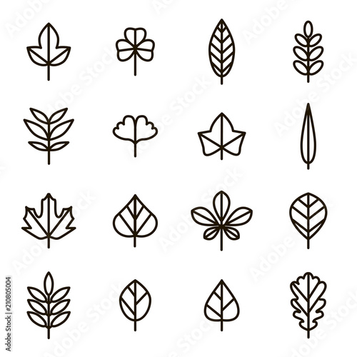 Leaf Signs Black Thin Line Icon Set. Vector