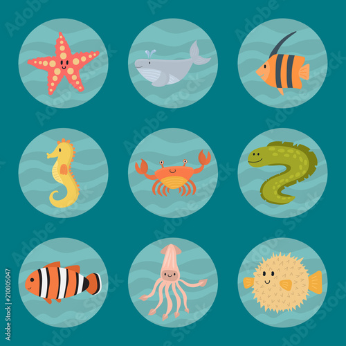 Sea animals vector creatures characters cartoon ocean wildlife marine underwater aquarium life water graphic aquatic tropical beasts illustration.