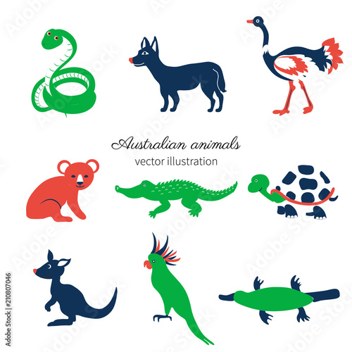 Australian wild animals, colorful vector cartoon illustration, decorative mammal set koala bear, kakadu, green snake, kangaroo, dog dingo, crocodile, for design zoo alphabet, invitation, greeting card