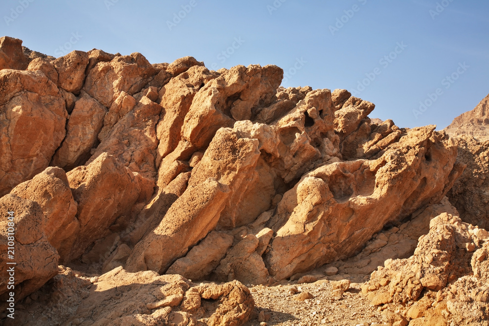 Fototapeta premium Park Narodowy Ein Gedi. Izrael