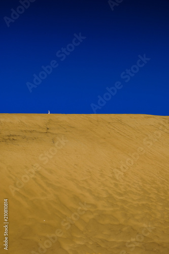 Lone tourist on Dune 7