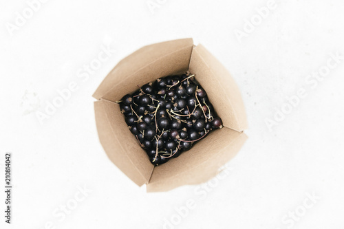 Freshly picked black currants in a cardboard container. photo