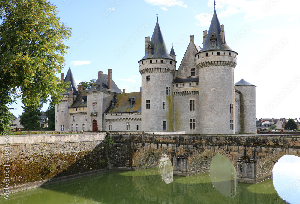 Fototapeta premium Château de Sully-sur-Loire 2