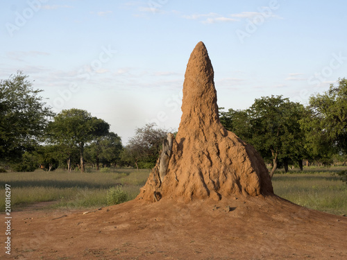 Obraz na płótnie The Great Termites of Northern Namibia w salonie