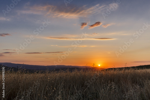 The golden sunrise in the f...