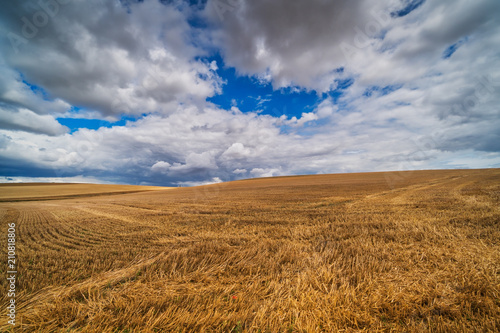 Gem  htes Feld mit dramatischem Himmel