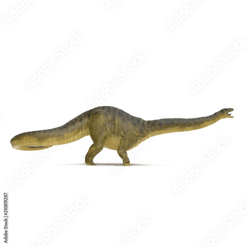 Apatosaurus Dinosaur on white. Side view. 3D illustration