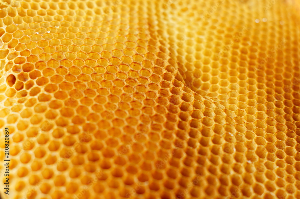 Honeycomb background from side
