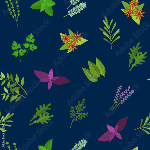 Cartoon Color Herbs Spices Seamless Pattern Background. Vector