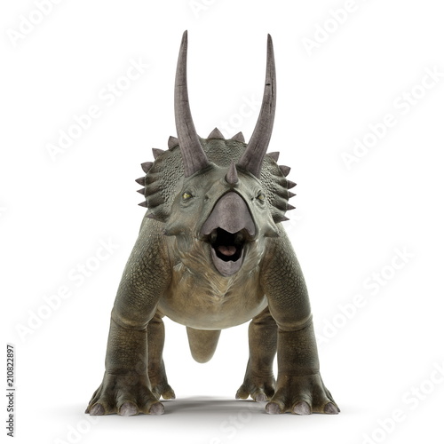 Triceratops dinosaur on white. Front view. 3D illustration © 2dmolier