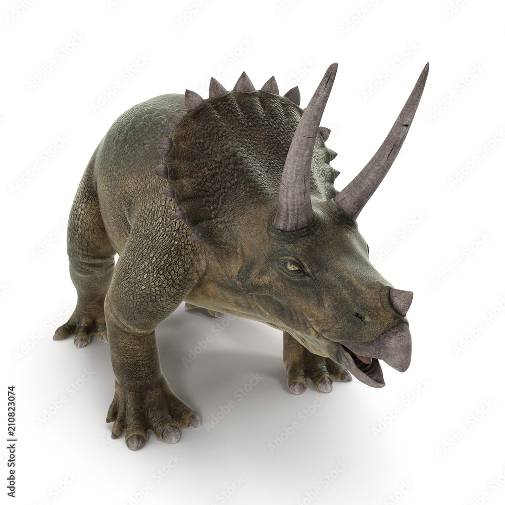 Fototapeta premium Dinozaur Triceratops na białym tle. Ilustracja 3D