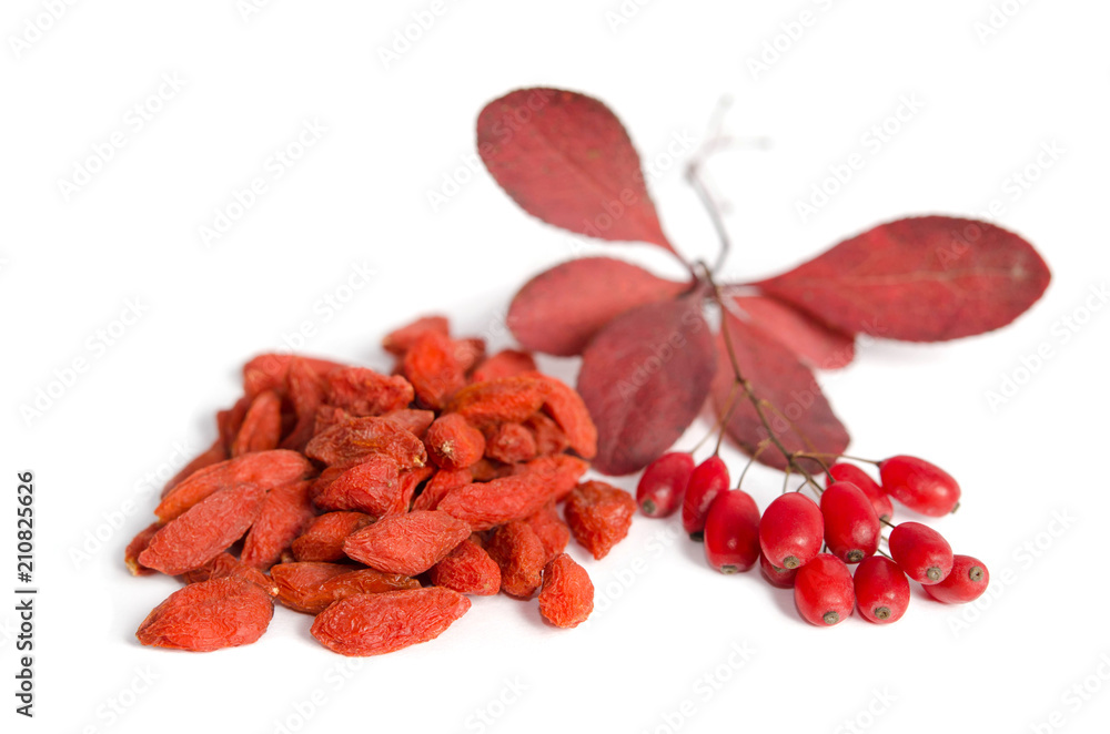 Branch of ripe red barberries and dried goji berries isolated on white background Branch of ripe red barberries and dried goji berries isolated on white background