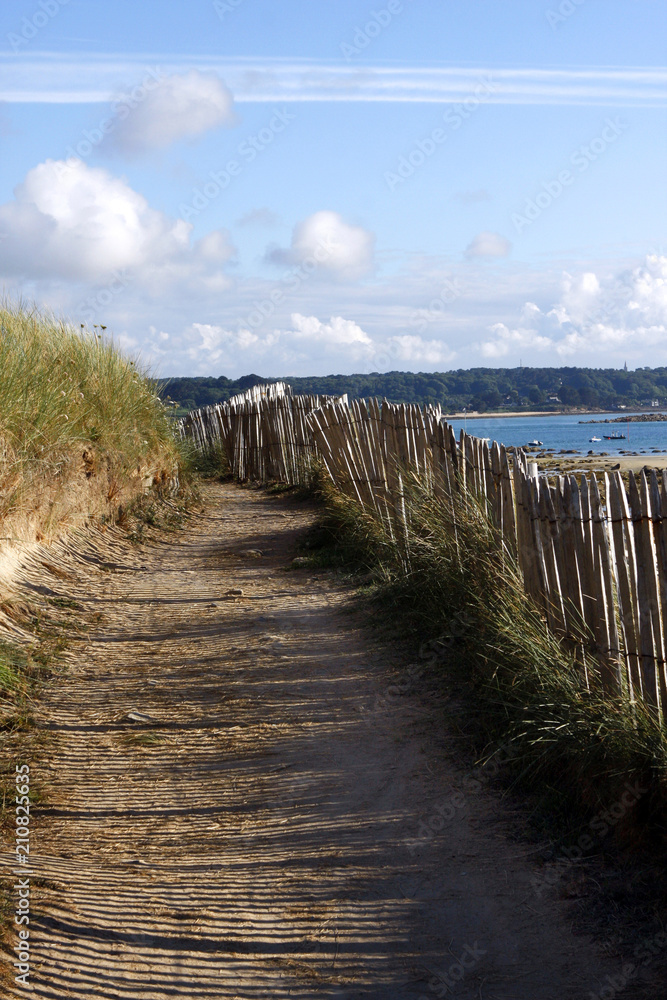 Fototapeta premium Paysage de Bretagne