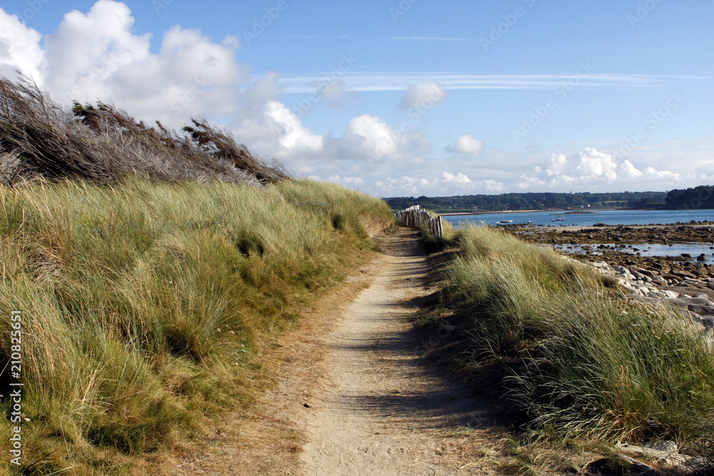 Fototapeta premium Paysage de Bretagne