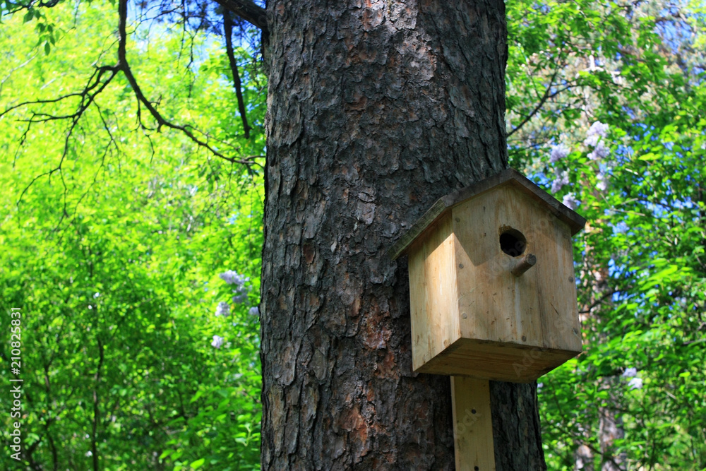 Birdhouse on the tree