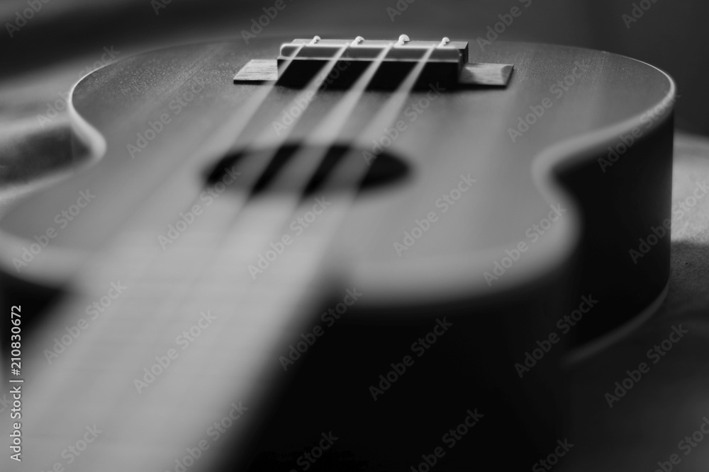 ukulele ukulele