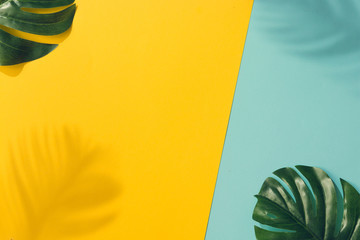 Creative layout made of colorful tropical leaves on yellow and blue background. Minimal summer exotic concept with copy space. Border arrangement.