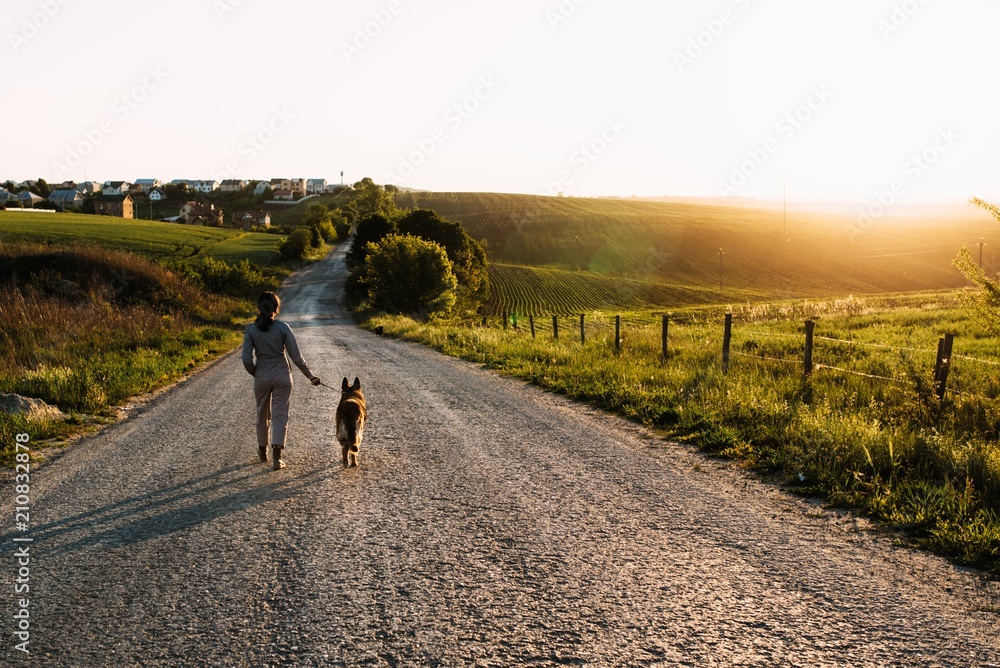 Fototapeta premium A pretty girl leads a dog next to her on the road