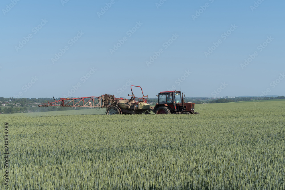 Farmer spraying pesticides in green wheat field Farmer spraying pesticides in green wheat field