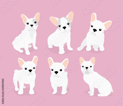 Vector illustration set of cute adorable french bulldog puppies on pink background in flat cartoon style.