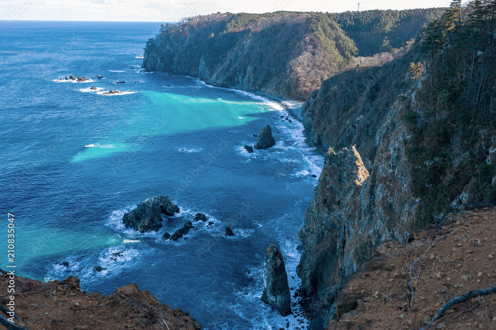 Obraz premium 【岩手県田野畑村】厳冬期の鵜の巣断崖は足が竦むような断崖絶壁