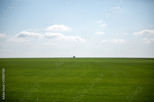 Photo of green lawn and cloudy blue sky