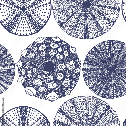 Urchin Pattern in Hand-Drawn Style