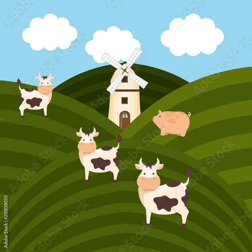 cows in the farm scene