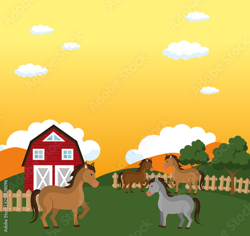 horses in the farm scene