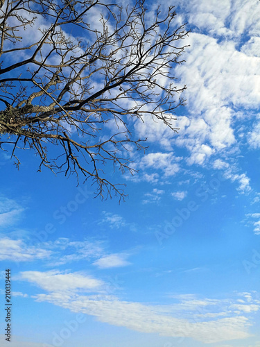 winter of the blue sky © Salomão Jr - Br