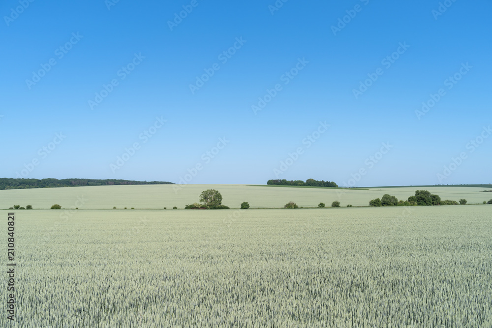 Agricultural landscape in Podolia region of Ukraine