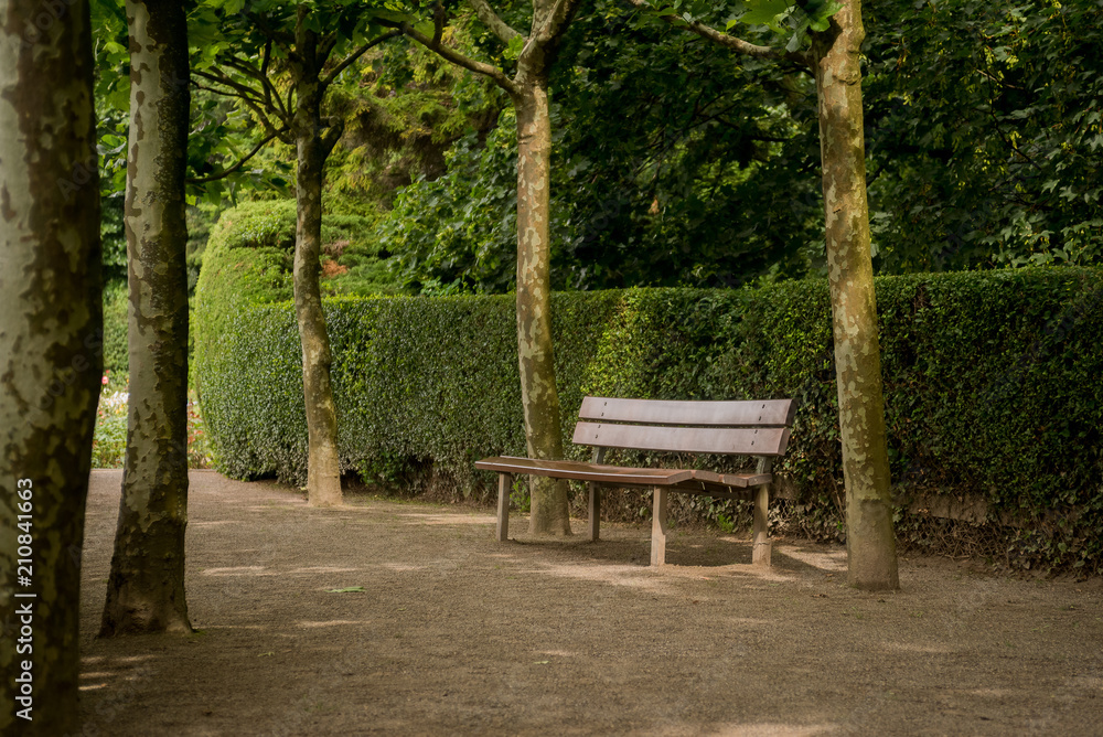 bench in park surrounded by trees and a hedge
