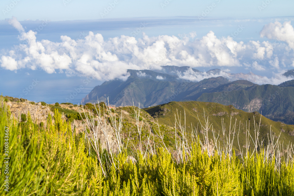 Obraz premium Mountain landscape on Madeira, Portugal