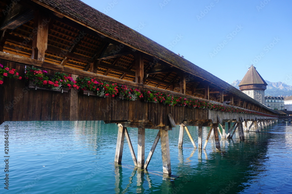 wooden bridge and flowers at a lake in Switzerland