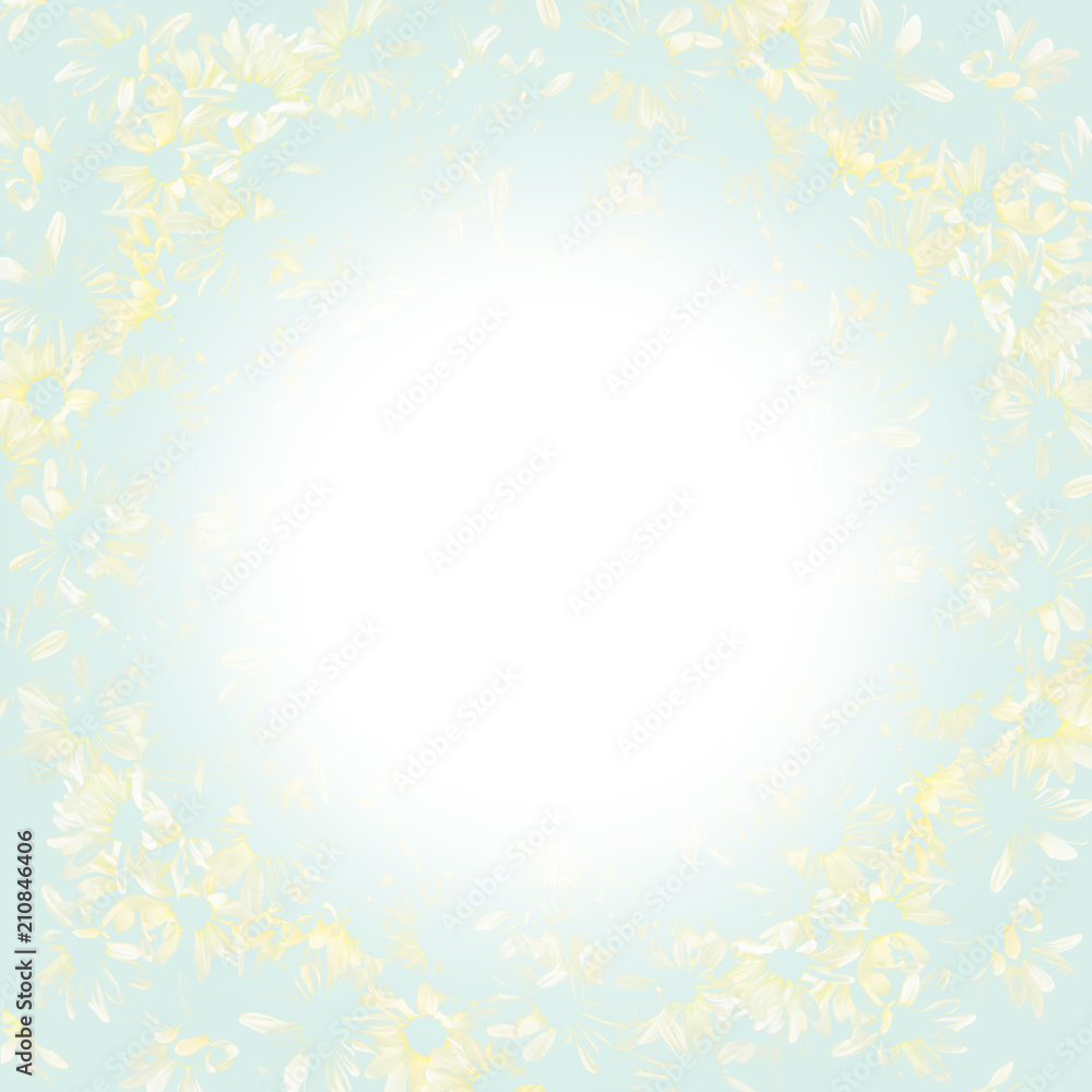 Wedding Dasie flower frame on blue background pastel colored .Minimal Wedding Dasie flower frame on blue background pastel colored .Minimal