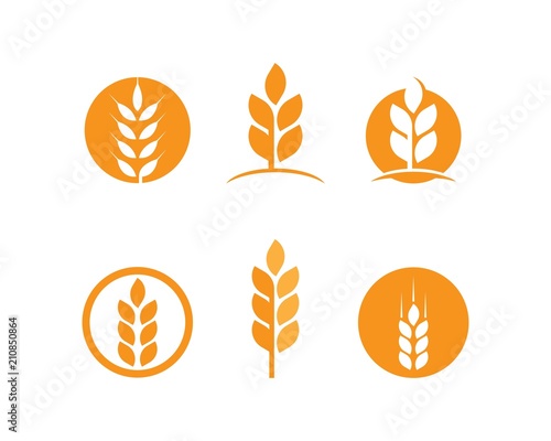 wheat Logo Template
