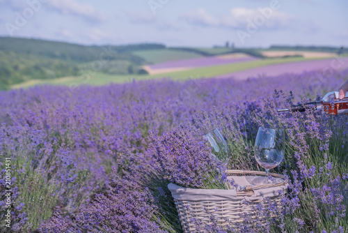 Basket with lavender and glasses with wine on the background of hilly lavender and other fields.
