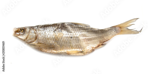 dried salted fish on white background