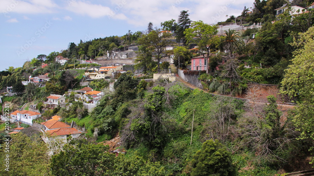 View of Monte at Funchal in Madeira