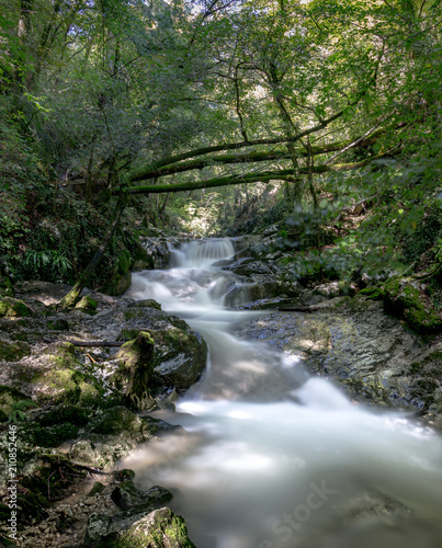 Beautiful natural landscape