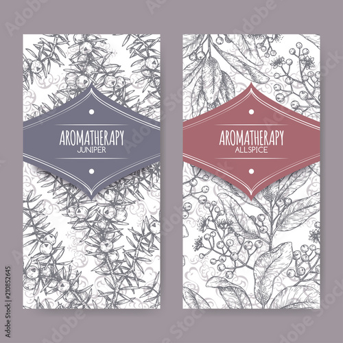 Two labels with Juniperus communis aka juniper and Pimenta dioica aka allspice sketch on elegant lace background. photo