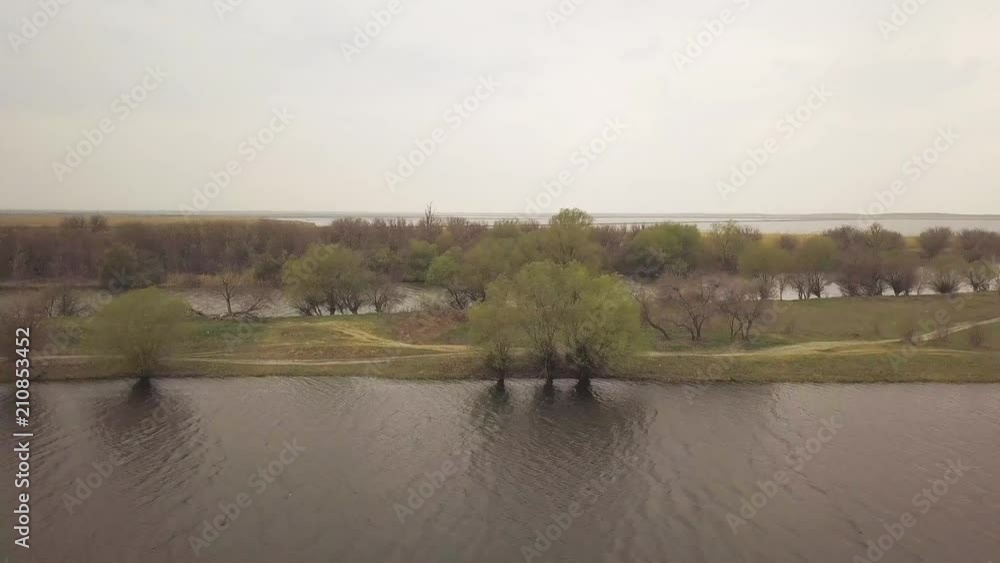 Trees on river shore and cape river on background cloudy sky drone view Trees on river shore and cape river on background cloudy sky drone view