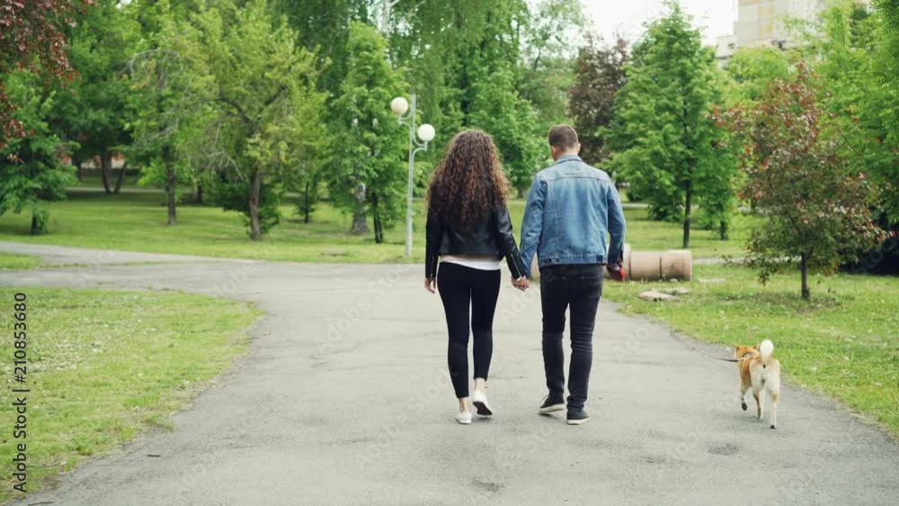 Back view of young people girlfriend and boyfriend walking the dog in city park in summer, man and woman are holding hands, pet is running enjoying freedom. Back view of young people girlfriend and boyfriend walking the dog in city park in summer, man and woman are holding hands, pet is running enjoying freedom.
