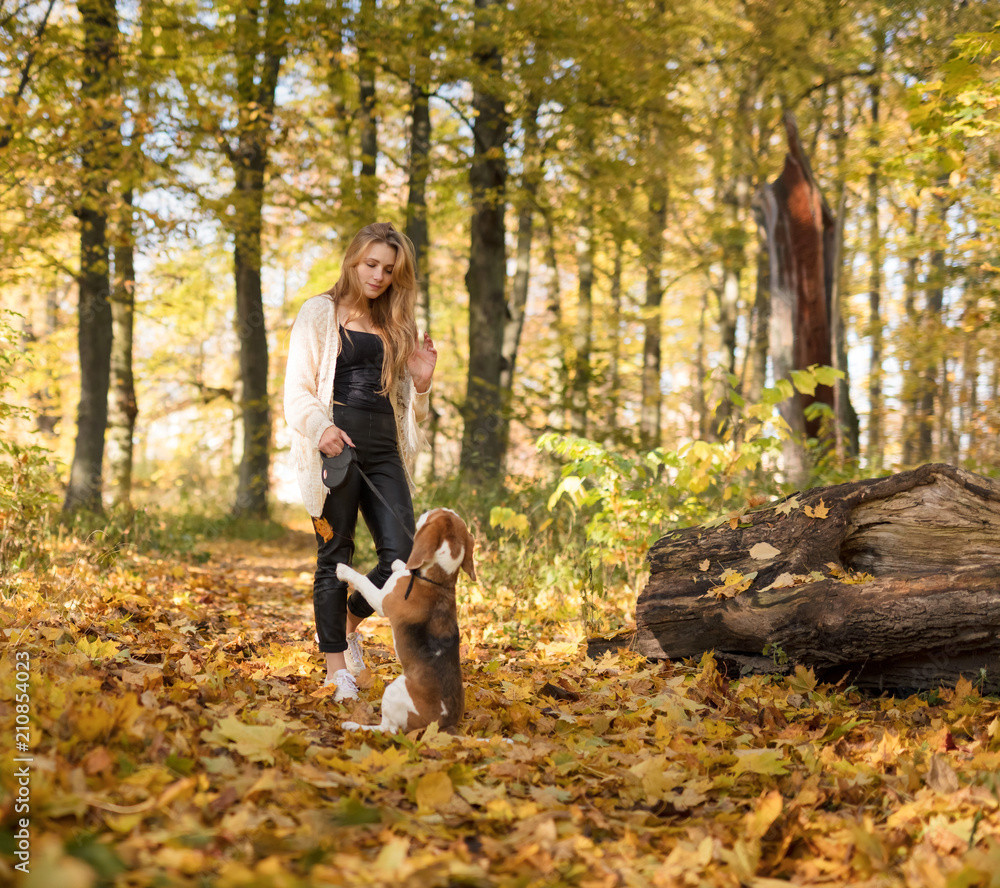 Young beautiful blonde walking with dog in the autumn park.