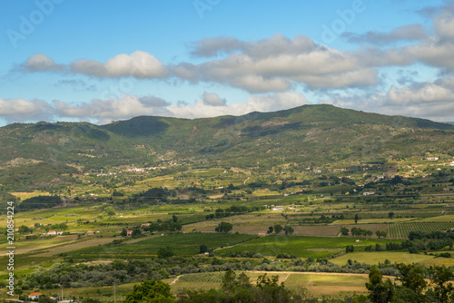 Panorama of hills and olive groves surrounding Belmonte, Castelo Branco, Portugal