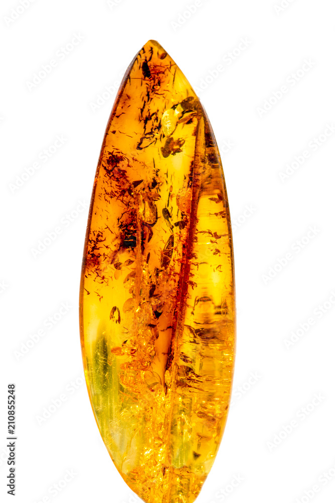Amber in sun with inclusions Amber in sun with inclusions