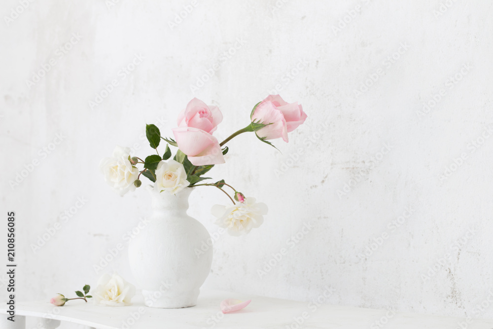 Fototapeta premium róże wazon oin na białym tle