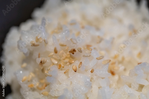 japanese rice with sesame